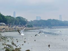 -深圳湾公园(南山区)
