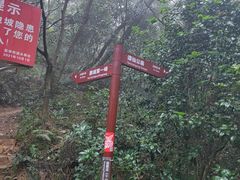 -梧桐山风景名胜区