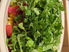 -油梨树 AVOCADO TREE(亮马桥店)