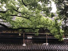 -普陀山风景名胜区-法雨禅寺