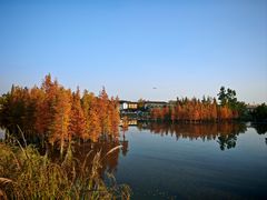 -白鹭湾湿地公园