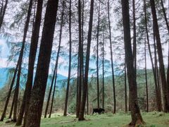 -硗碛藏寨·神木垒景区