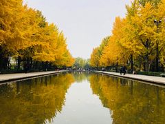 -玲珑塔公园