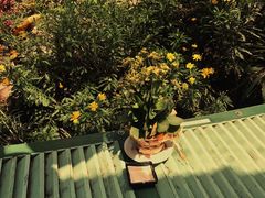 -Le Chalet Dalat