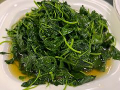 酒香金花菜-协和菜馆(凤凰街店)