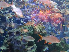 -成都浩海立方海洋公园