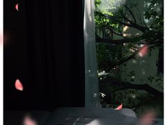 -碧澄保健(东风西路店)