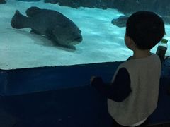 -苏州海洋馆