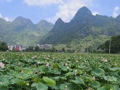 -长寿村