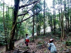 android_upload_pic-广州市石门国家森林公园