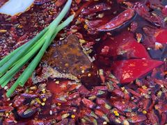 -黄潇洒老火锅(九眼桥宏济巷店)
