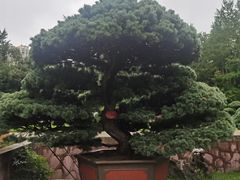 -水绘园