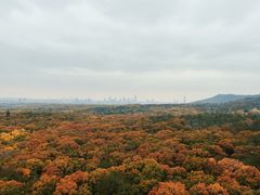 -灵谷景区