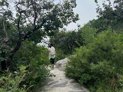 -北京西山国家森林公园