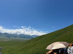 -新疆那拉提国家旅游度假区
