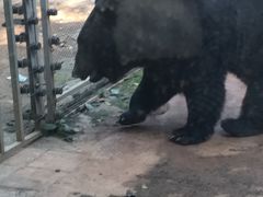 -昆明动物园