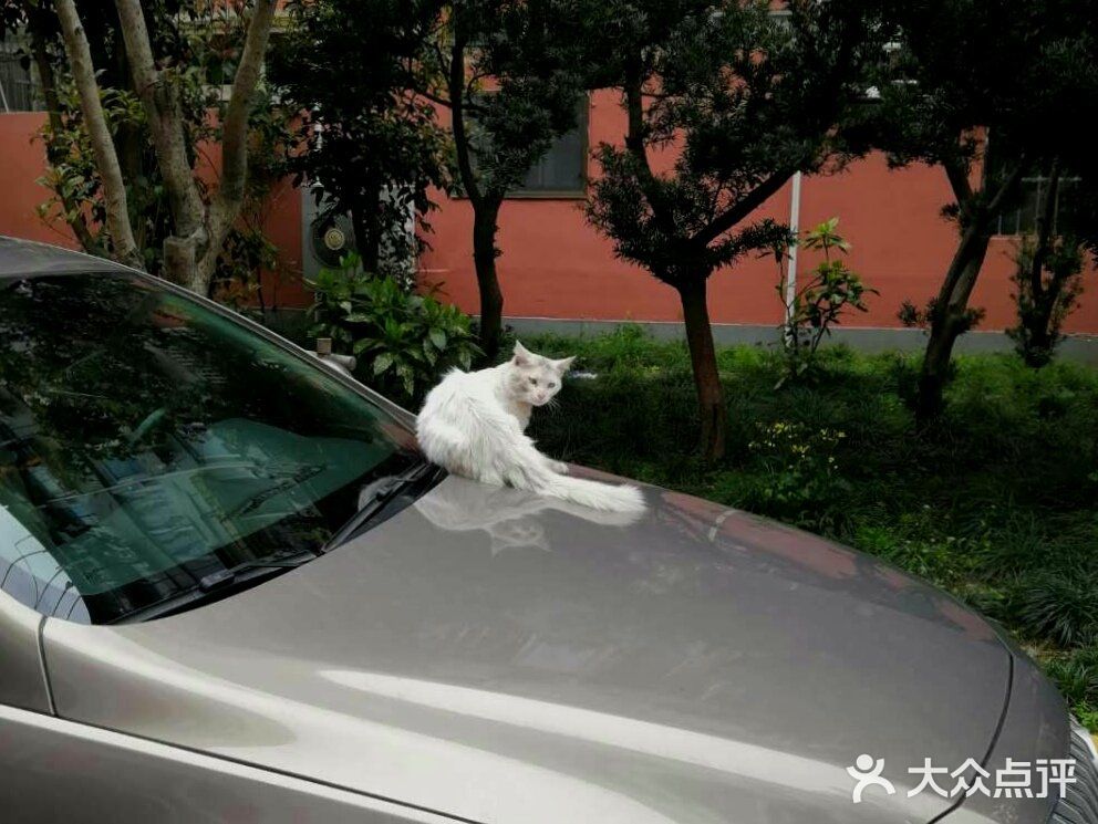 阳光明媚的日子，在小区里抬头看看蓝天白云