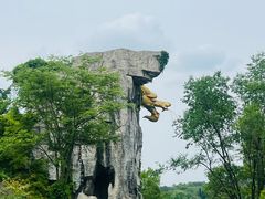 -宜兴龙背山森林公园