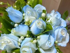 -循礼门鲜花花市(武汉循礼门店)