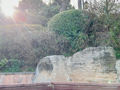 -天目湖涵田半山温泉