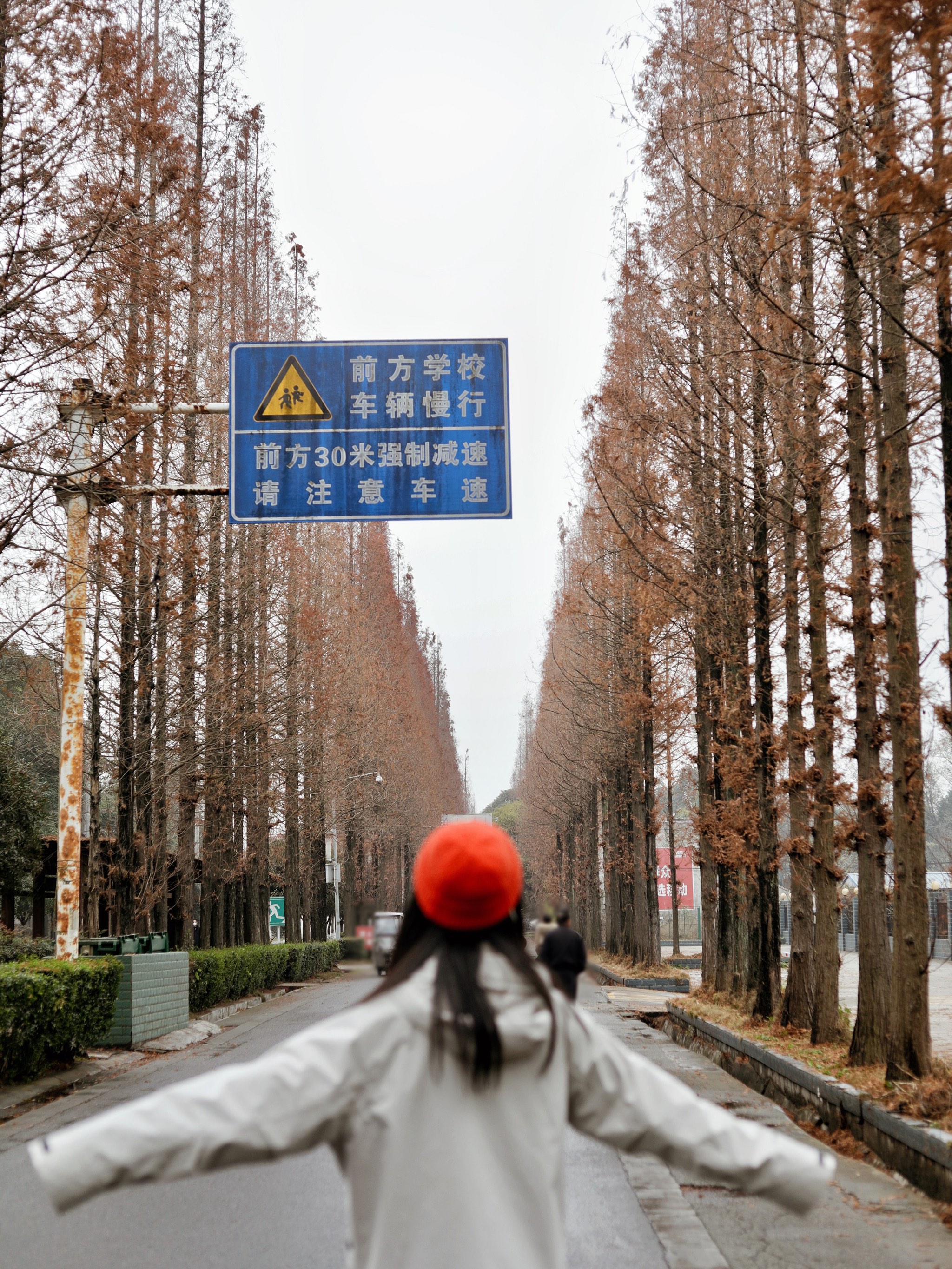 新津县太平场老街图片