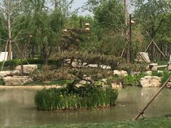 -武清南湖绿博园