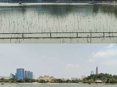 -顺峰山公园
