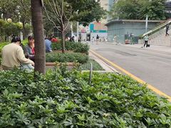 -深圳市中西医结合医院