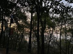 -岳麓山风景名胜区