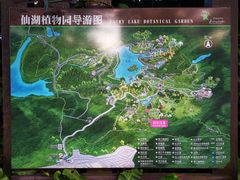 -深圳仙湖植物园