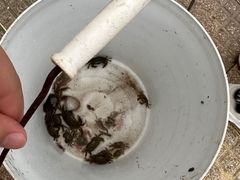 -奉贤海滩