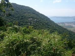 android_upload_pic-三亚亚龙湾人间天堂鸟巢度假村