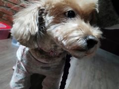 -沐沐家宠物(成寿寺店)