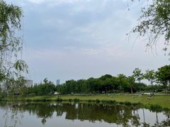 -眉山湿地公园(东坡区)