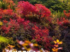 -潭溪山