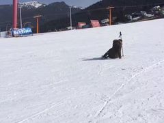 -丝绸之路山地度假区滑雪场