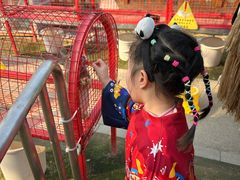 -成都欢乐谷