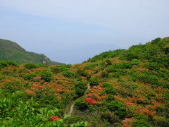 -大围山国家森林公园