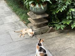 -广州兰圃