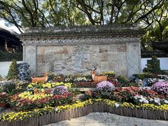 -上海醉白池公园