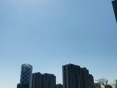 -大望京公园