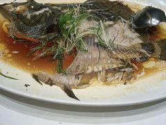 -锦粤宫·精致粤菜(深圳北站店)