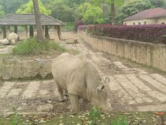 -杭州野生动物世界