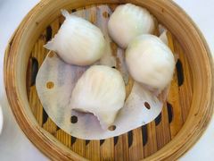 -圣丰盛宴酒家(东城店)