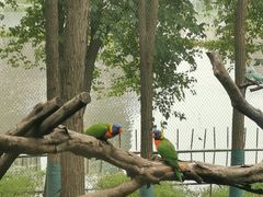 -武汉动物园