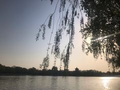-后海公园