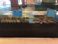水产区-都市阳光海鲜城(青山湖店)