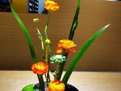 -大益茶庭(勐海会员中心店)