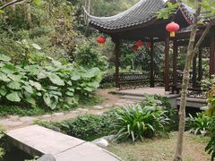 -深圳国际园林花卉博览园