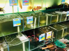 水产区-琼大师东方烤乳猪(亚特兰蒂斯店)